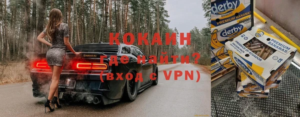 твердый Алексин