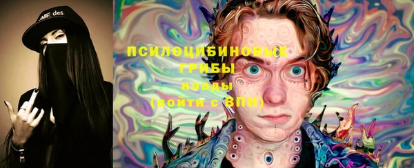 ГАЛЛЮЦИНОГЕННЫЕ ГРИБЫ Алексеевка