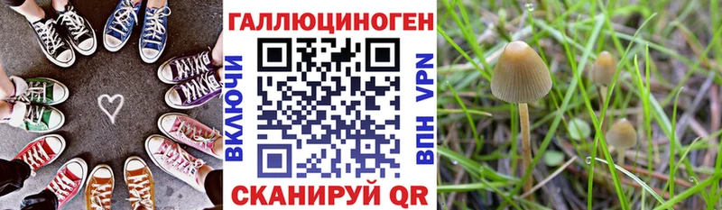 omg рабочий сайт  Азнакаево  Галлюциногенные грибы прущие грибы 